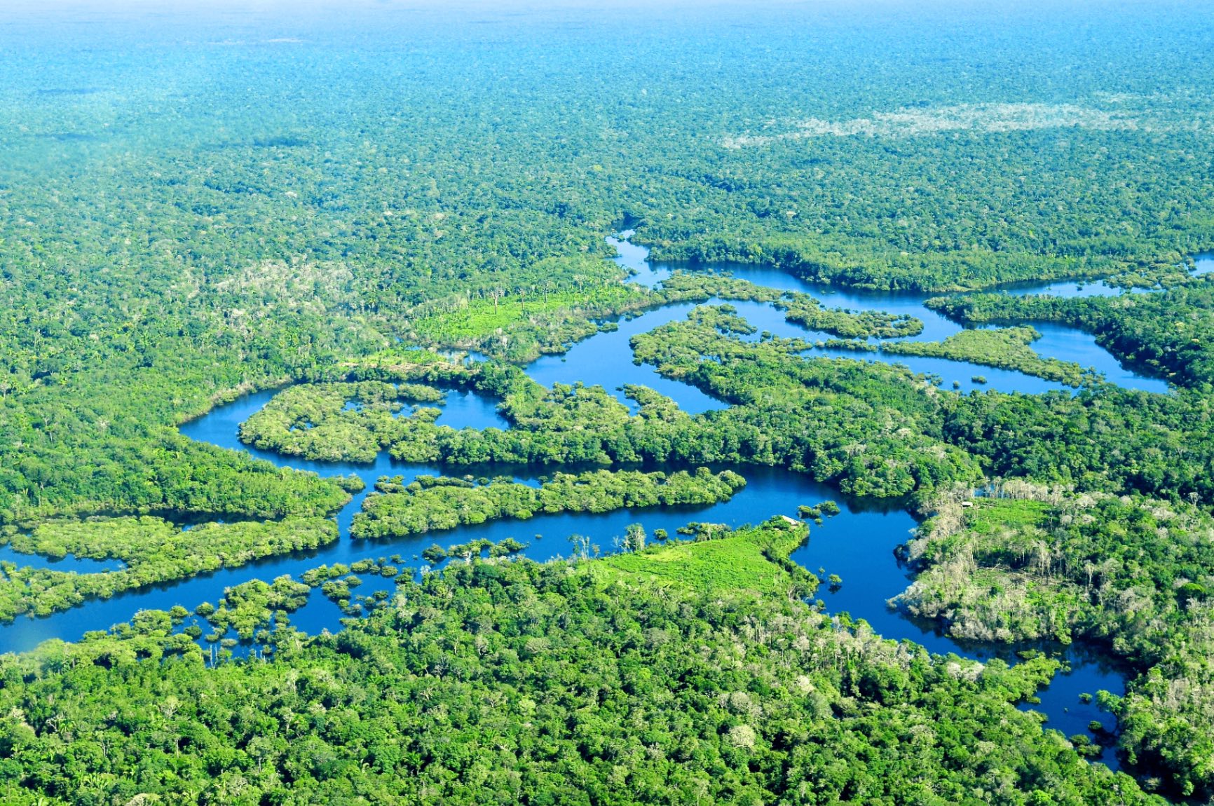 Luftaufnahme des Amazonas-Regenwaldes über dem Gebiet der Flächen unter Vertrag