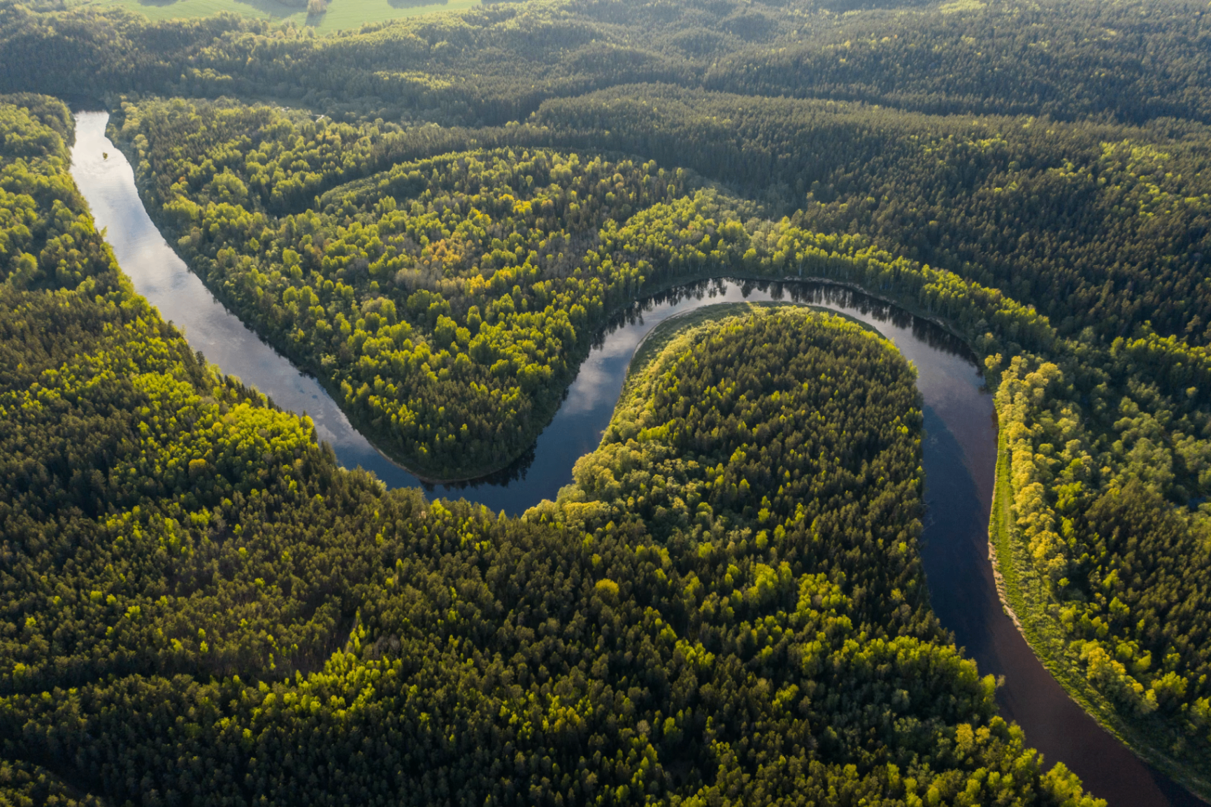 Vista aérea da floresta amazônica nas áreas do programa