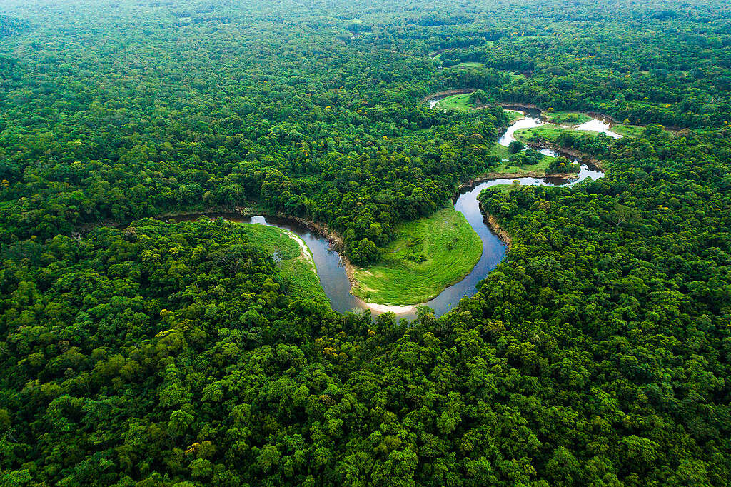 Vista aérea da Amazônia · bacia do Juruá-Solimões