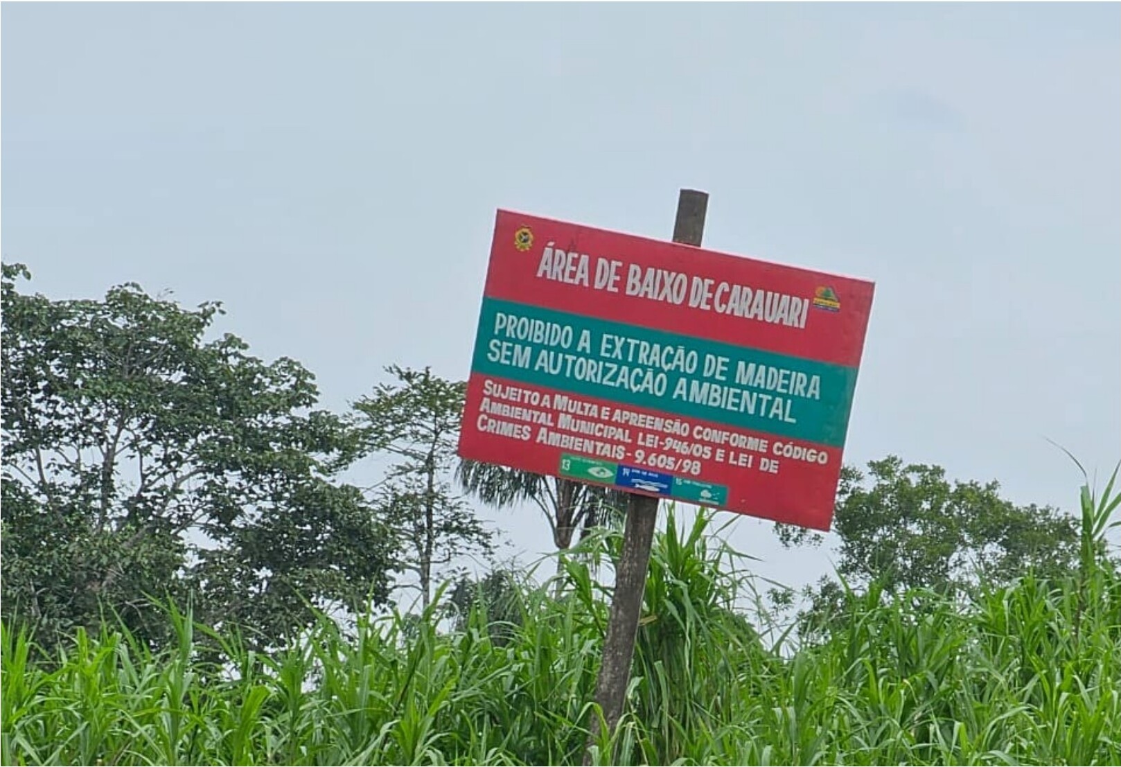 Área monitorada