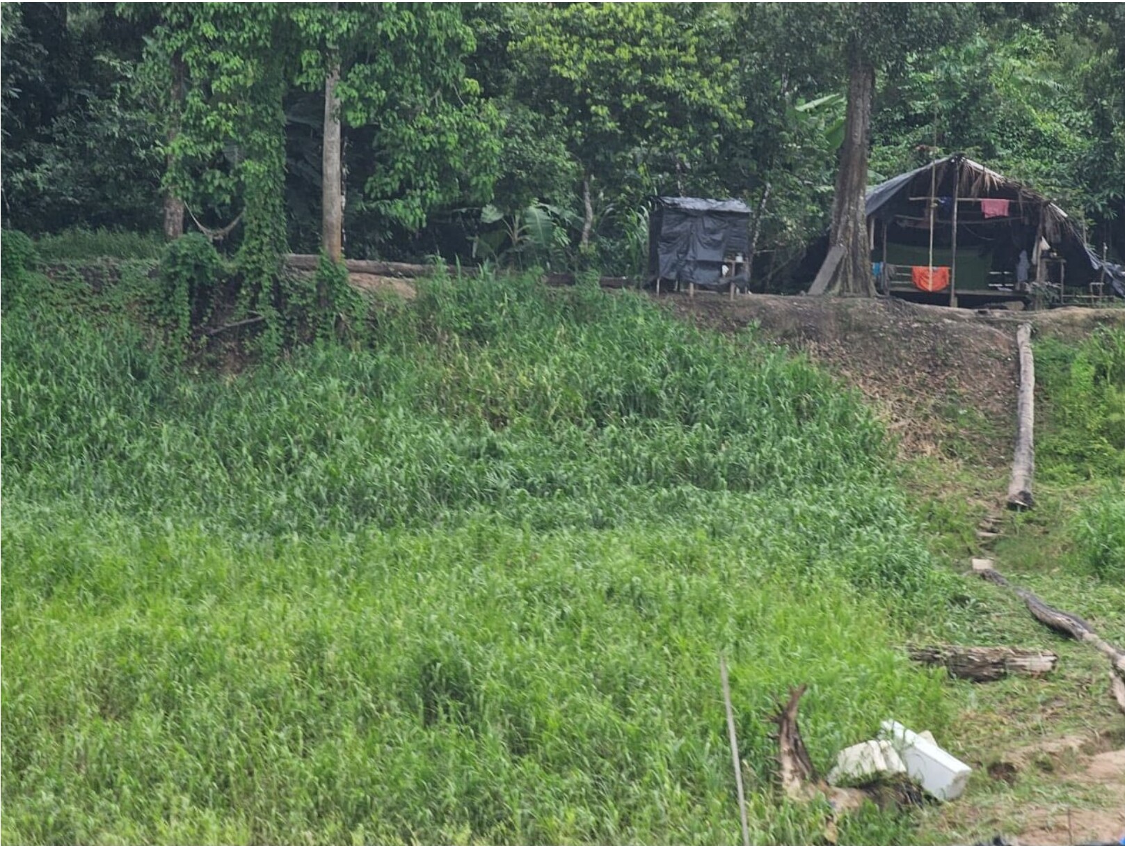 Território HopeAmazon